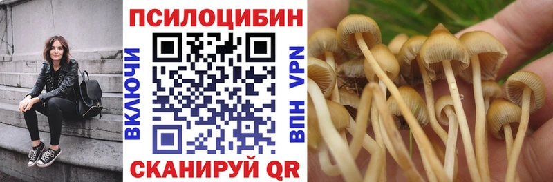 кракен как войти  Ставрополь  даркнет состав  Галлюциногенные грибы Psilocybe 